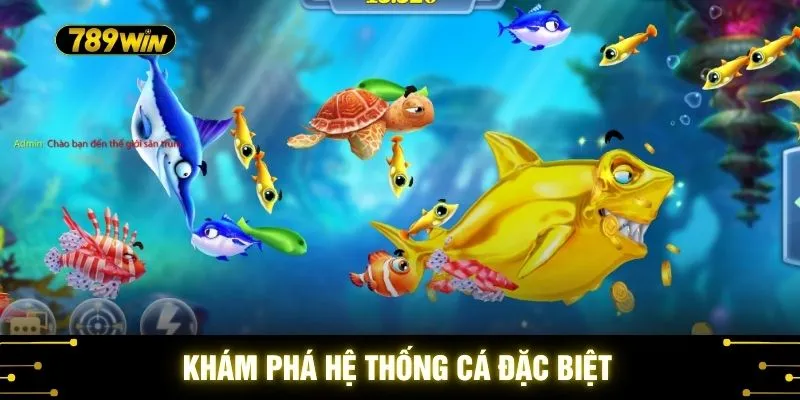 Bắn Cá Tích Điểm 789WIN - Cách Tối Ưu Hóa Số Lượng Đạn 3 Khám phá hệ thống cá đặc biệt