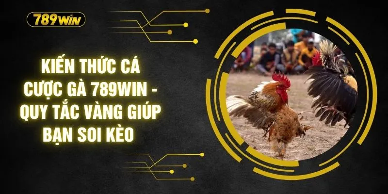 Kiến Thức Cá Cược Gà 789WIN - Quy Tắc Vàng Giúp Bạn Soi Kèo 2 Kiến Thức Cá Cược Gà 789WIN - Quy Tắc Vàng Giúp Bạn Soi Kèo